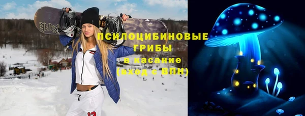 СК Заводоуковск