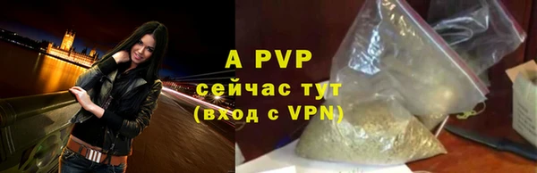 молекула духа Заволжье