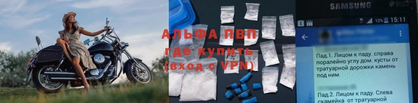 СК Заводоуковск