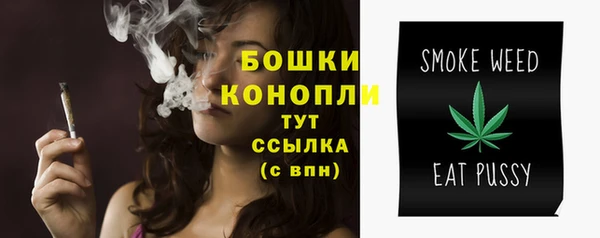 СК Заводоуковск