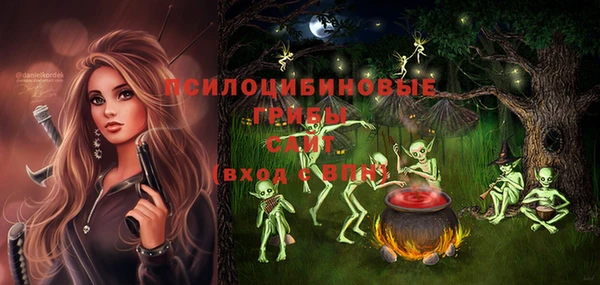 молекула духа Заволжье