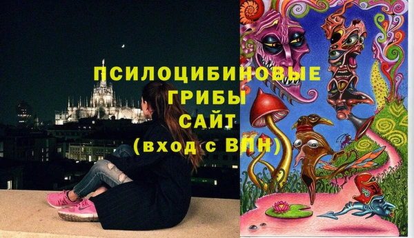 молекула духа Заволжье